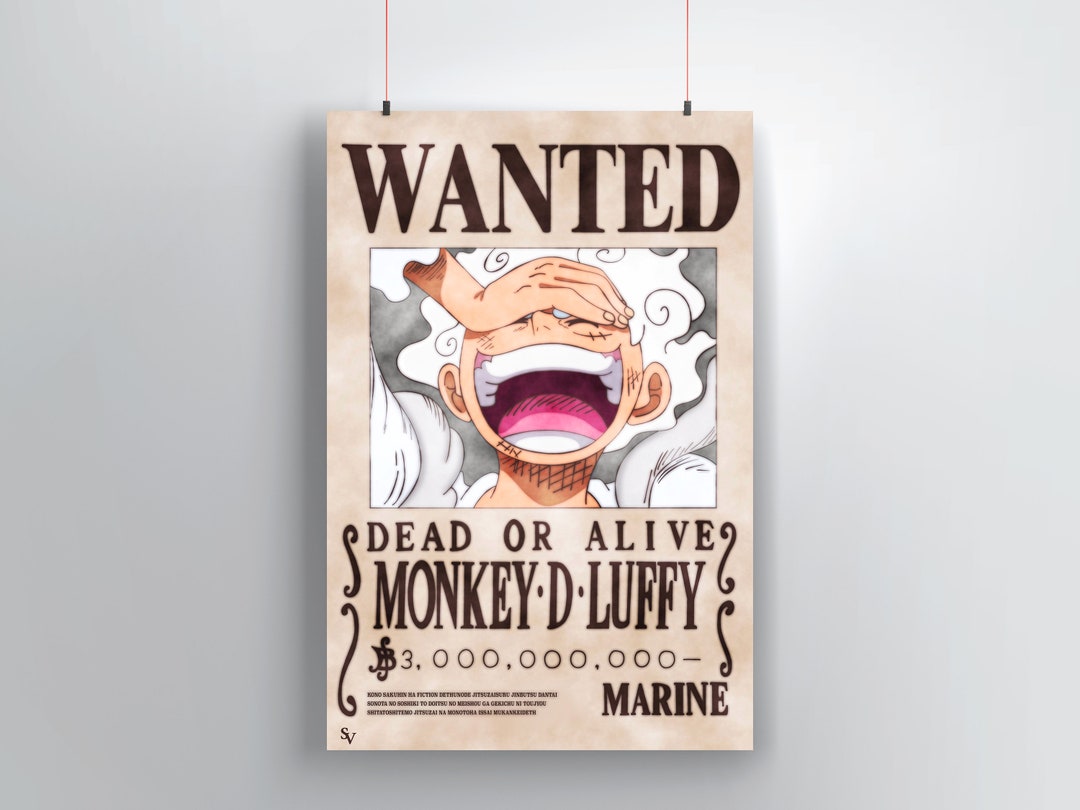 Luffy's New Wanted Poster Etsy