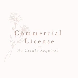 Commercial License