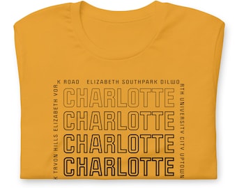 Charlotte NC T-shirt: uniseks Queen City CLT-shirt met grafische print
