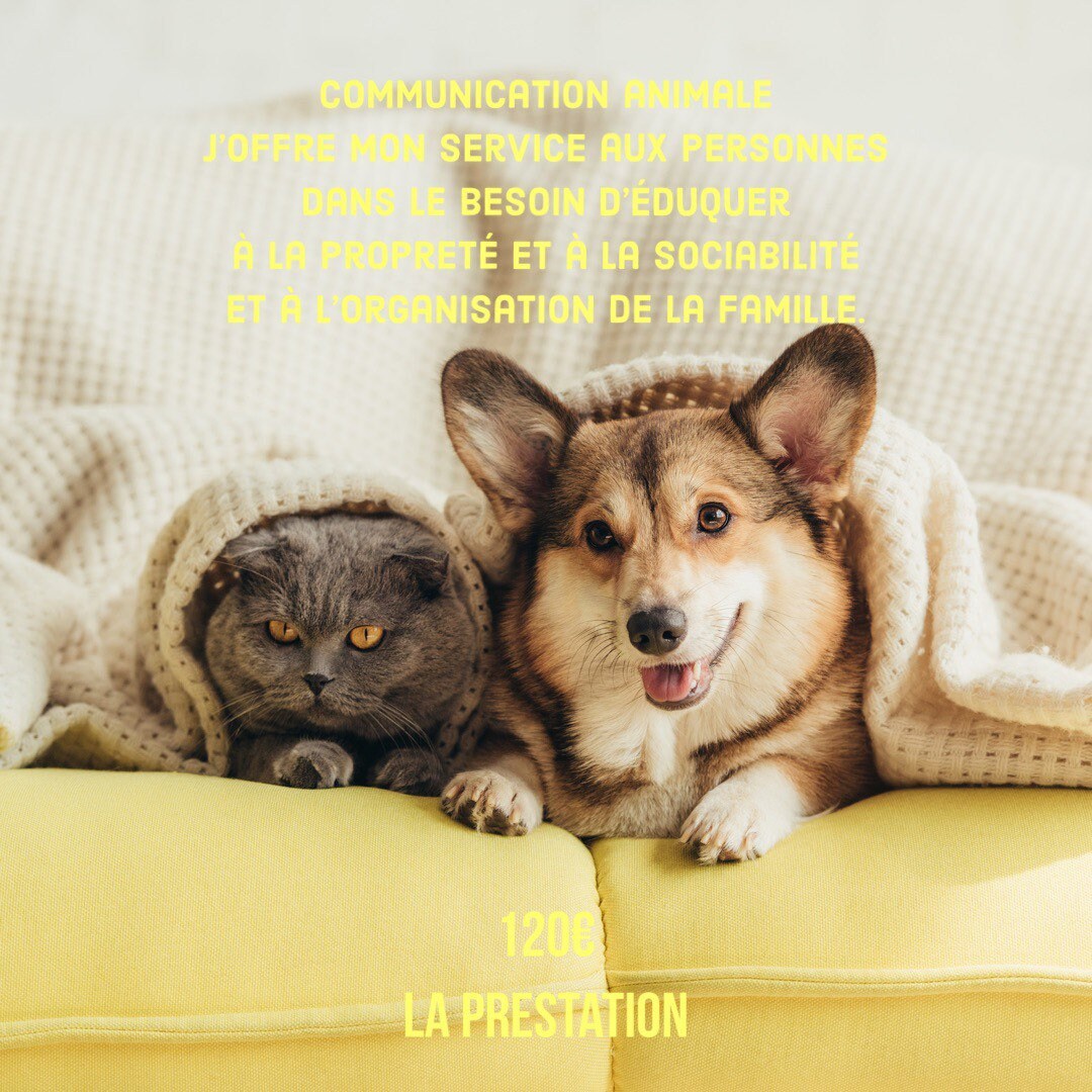 Communication Animale
