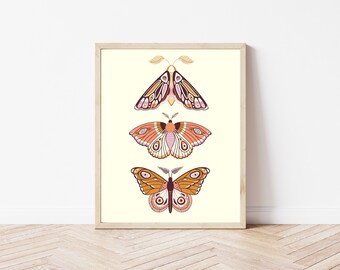 Moths Art Print - Original Illustration Matte Poster