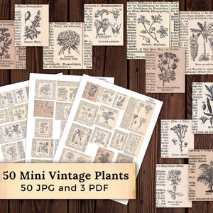 50 Plant Illustrations | Vintage botanical JPGs | Botanical Mini Ephemera | For commercial and personal use | Instant digital download