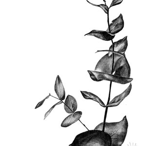 Grow Where You Are Planted Unframed Artist Print