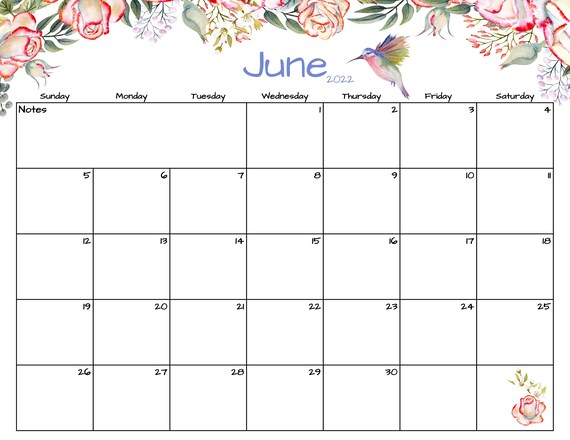 june calendar june 2022 printable calendar hummingbirds etsy
