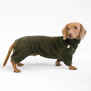 OVERALL for Dachshunds in Dark Olive
