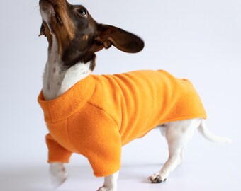 Dachshund sweater orange