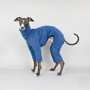 Second Skin PLUS Overall Blue for Italian Greyhounds