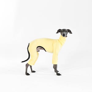 SECOND SKIN OVERALL voor Italiaanse Windhond in Lichtgeel