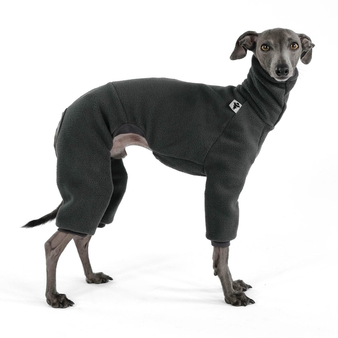 Fort Worth Wrap Whippet Rescue OVERALL For Italian Greyhound