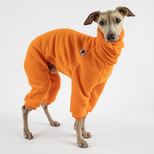 Italian Greyhound Jumpsuit Orange