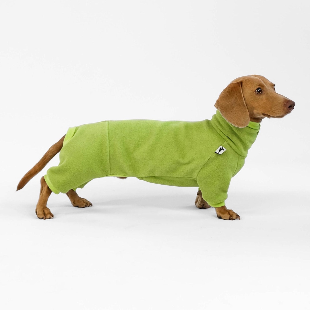 Weiner Dog Pajamas Pajamas For Dachshunds Toddler Sausage Dog Pjs
