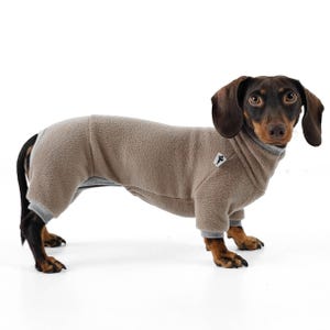 OVERALL for Dachshunds in Walnut