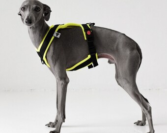 Italiaans Greyhound Tuigje Neon Geel