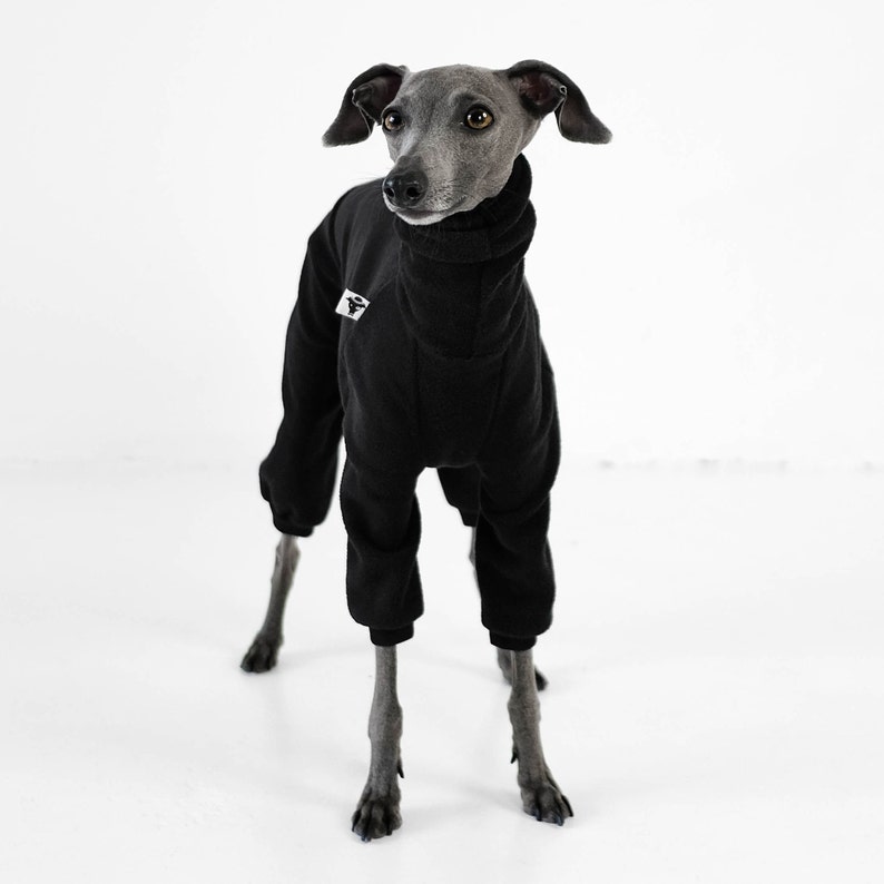 Italian Greyhound Jumpsuit Black image 4