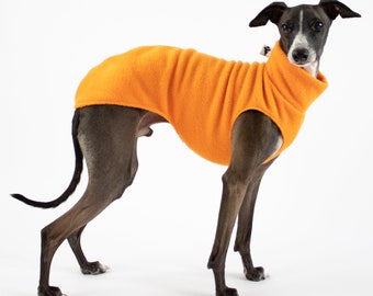 Italian Greyhound Jumper Orange