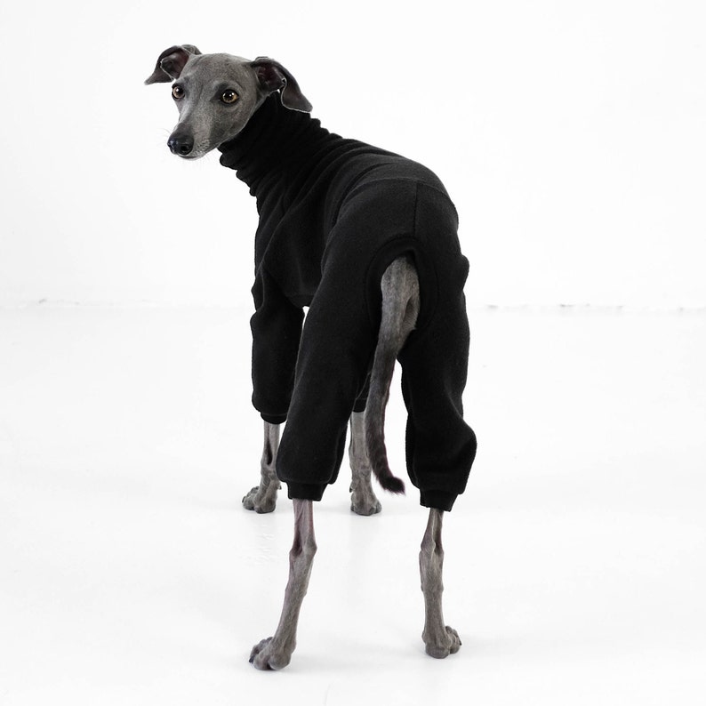 Italian Greyhound Jumpsuit Black image 3