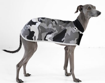 Italian Greyhound Coat Gray Camouflage