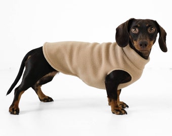 Dachshund Jumper Camel