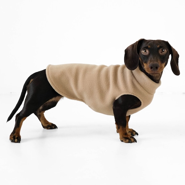 Dachshund Jumper Camel