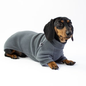 Dachshund Pullover