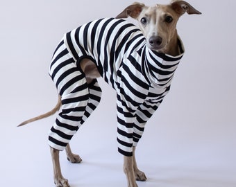 Second Skin Overall Bold Stripes for Italian Greyhounds