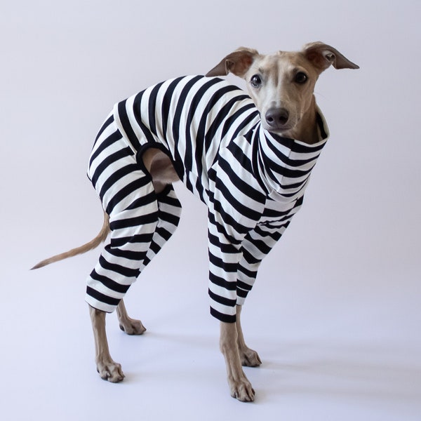 Second Skin Overall Bold Stripes for Italian Greyhounds