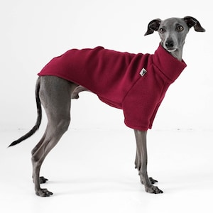 Italian Greyhound Sweater Bordeaux