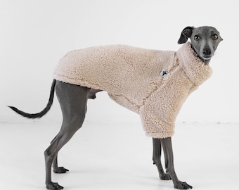 Italian Greyhound Sweater Teddy