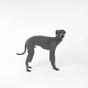 SECOND SKIN SWEAT for Italian Greyhound in Anthracite Melange