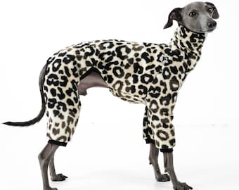 Italian Greyhound Jumpsuit Leo