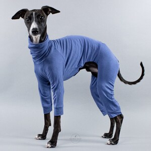 Greyhound bowl Etsy Mexico