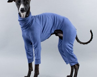 Second Skin Overall Blue for Italian Greyhounds