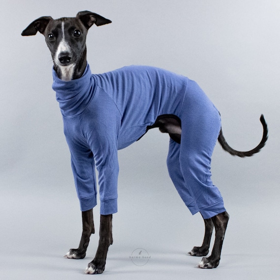 Second Skin Overall Blue for Italian Greyhounds Etsy Canada