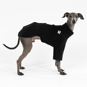 SWEATER for Italian Greyhound in black