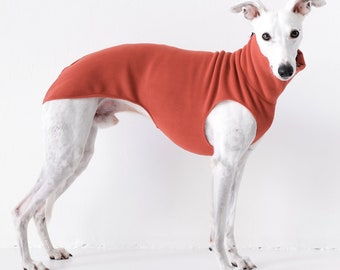 Pull Whippet Terre Cuite