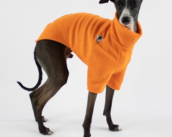 Italian Greyhound Sweater Orange