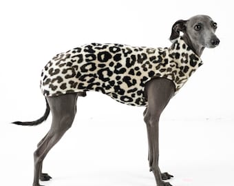 Italian Greyhound Jumper Leo