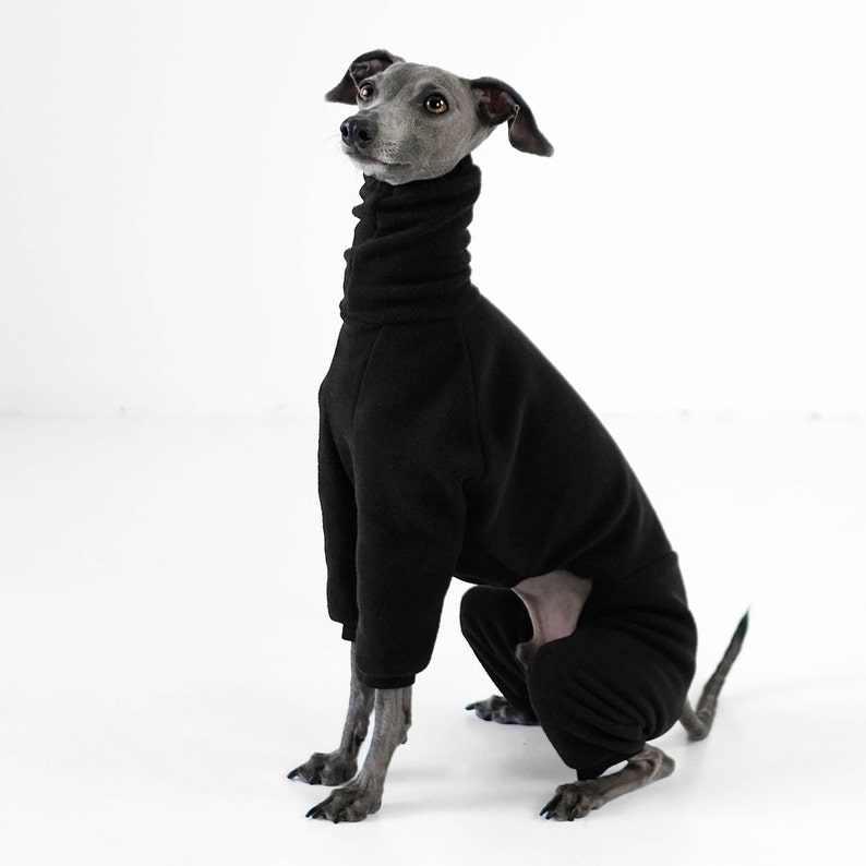 Italian Greyhound Jumpsuit Black image 6