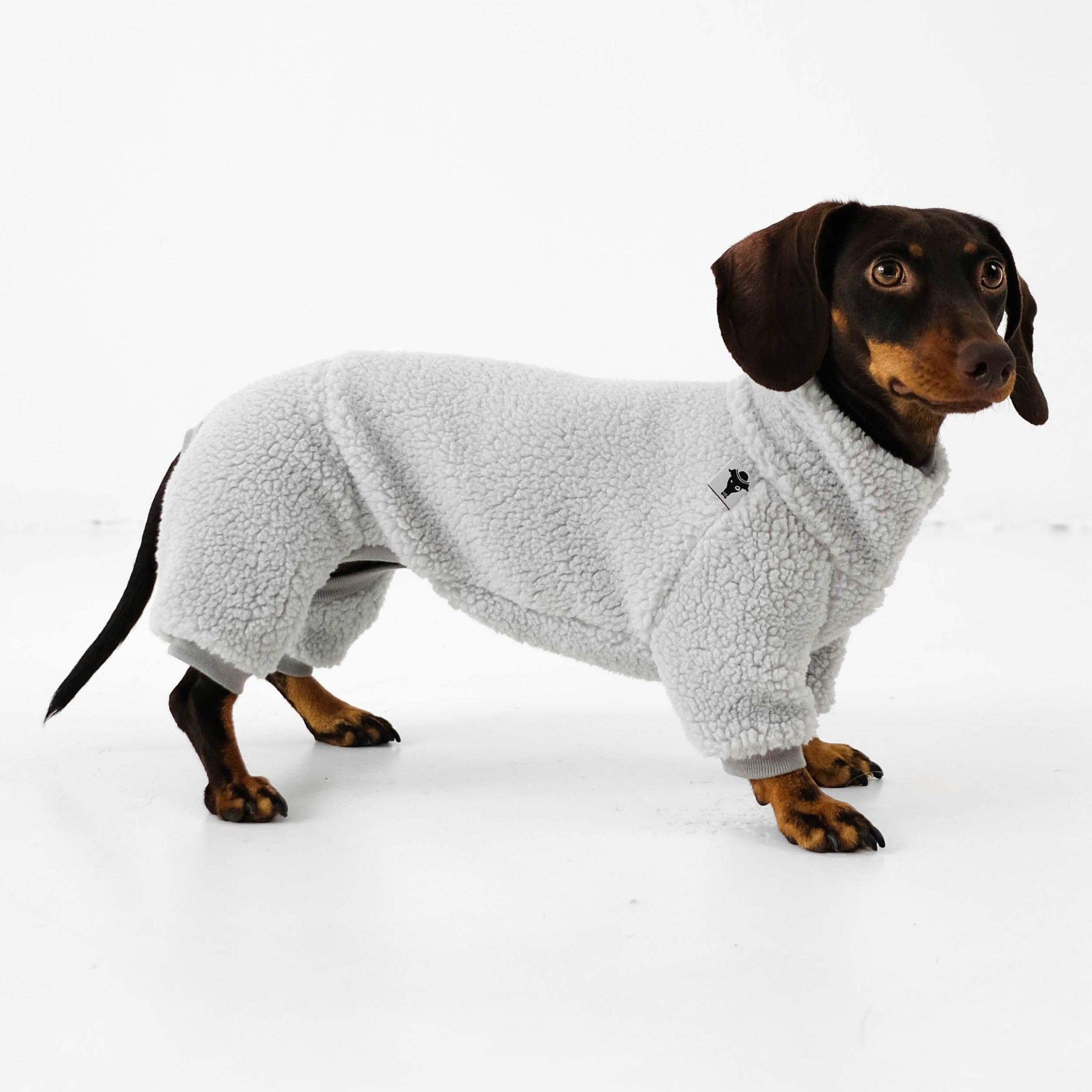 Dachshund boots Österreich