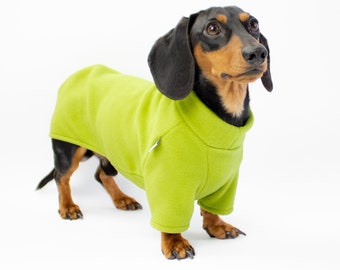 Dachshund Sweater Light Green