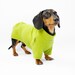 see more listings in the Dachshund section