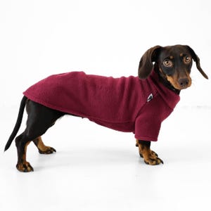 Sweater for Dachshunds in Bordeaux