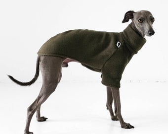 Italian Greyhound Sweater Dark Olive