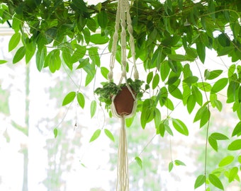 Macrame Plant Hanger | 1 or 2 tier