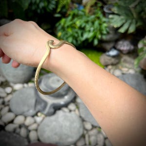 May include: A gold-colored snake-shaped bracelet. The bracelet curves around the wrist, with the snake's head at the top. The bracelet has a textured design along the bottom curve. The background is blurred, with greenery and rocks.