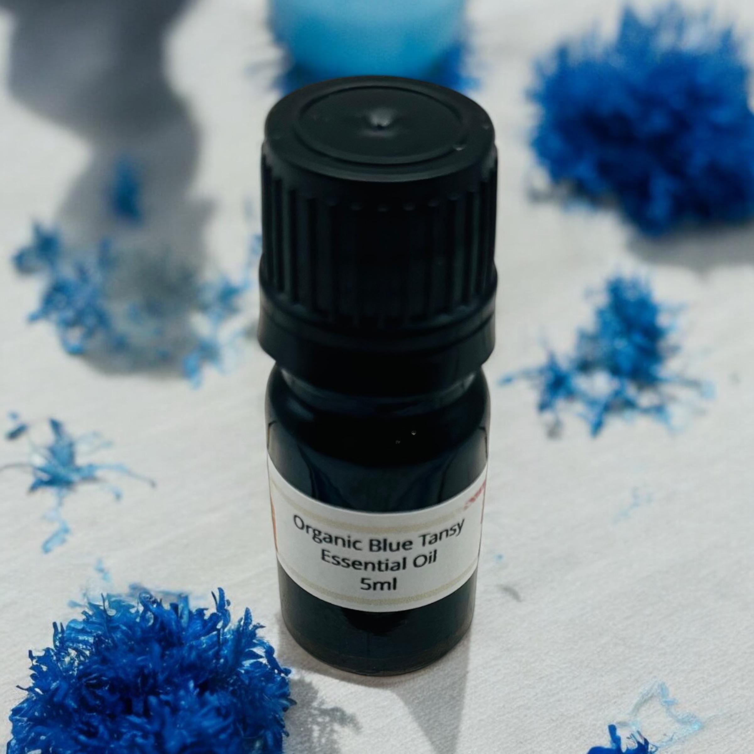 Blue Tansy Essential Oil Tanacetum Annuum - Etsy