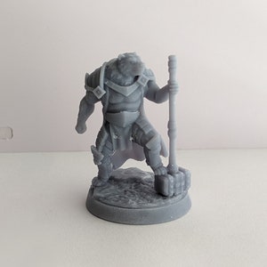 3D Printed Werebear Paladin