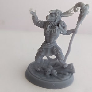 3D Printed Lionborn Shaman