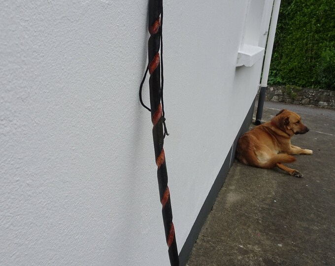 Irish Willow Switch Etsy