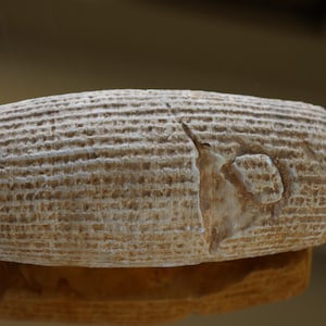 Cyrus Cylinder Replica – Babylonian Cuneiform Tablet – Ancient Mesopotamian Artifact – Historical Home Decor